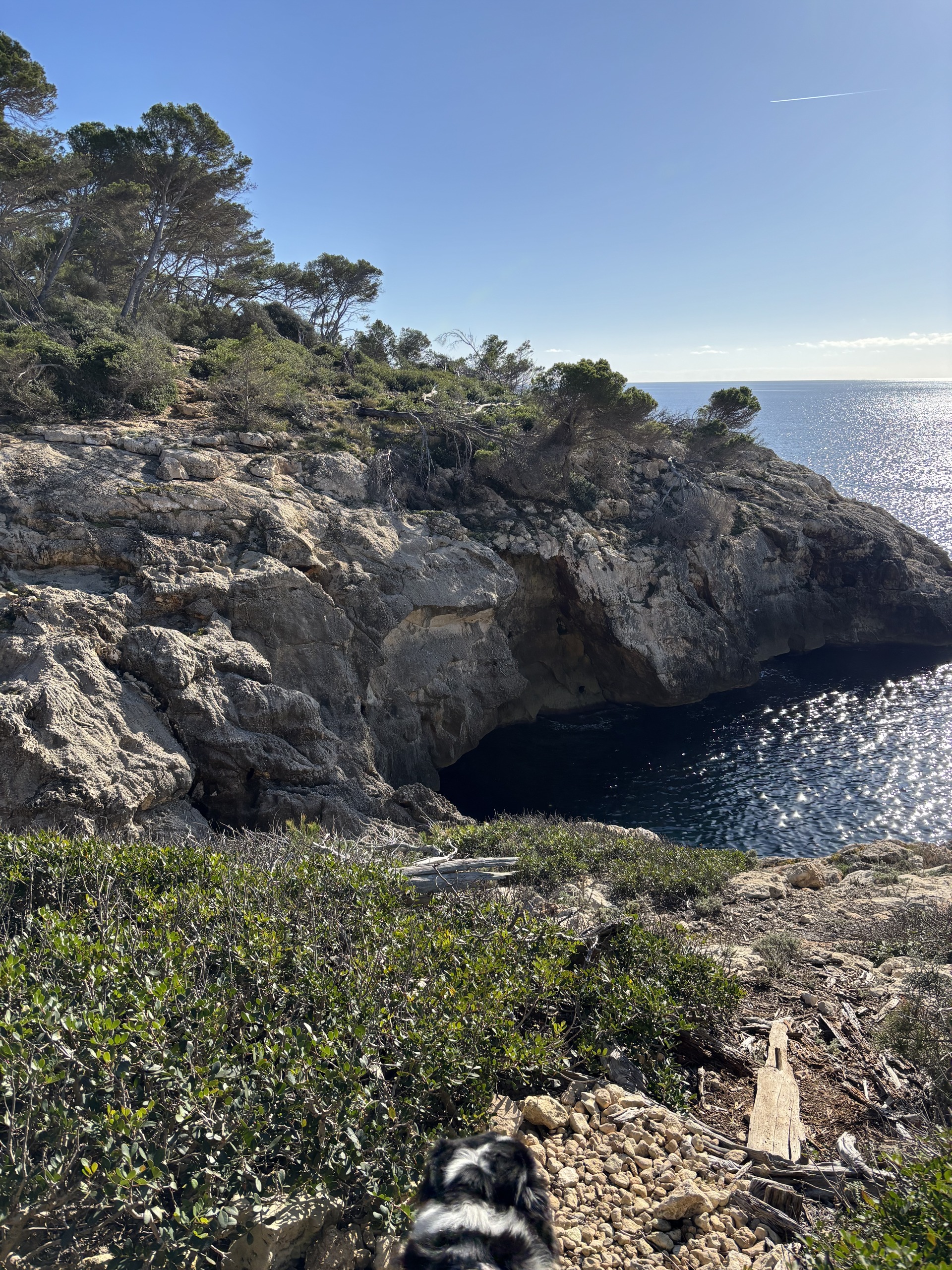 Cliff Day_10