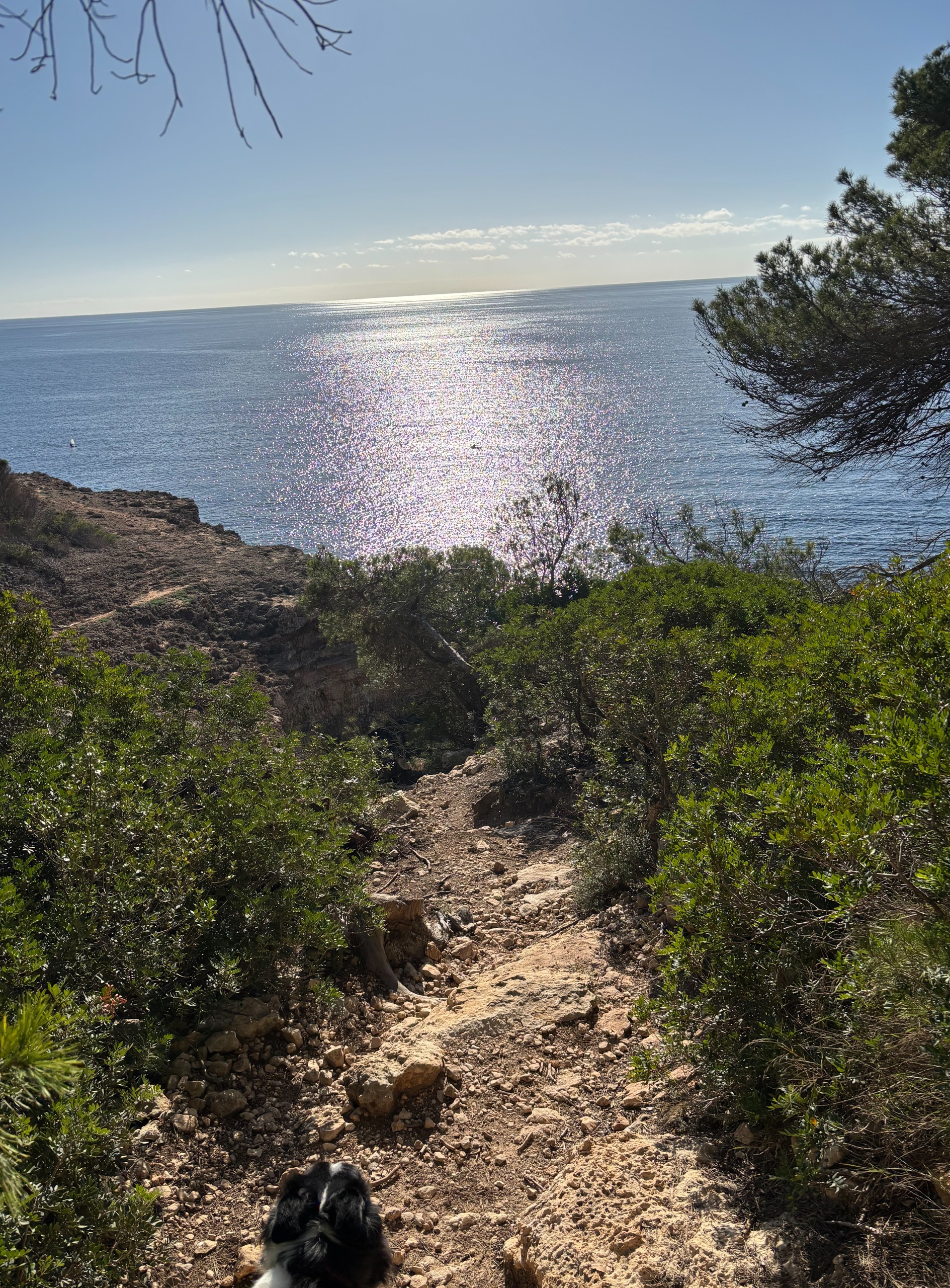 Cliff Day_8