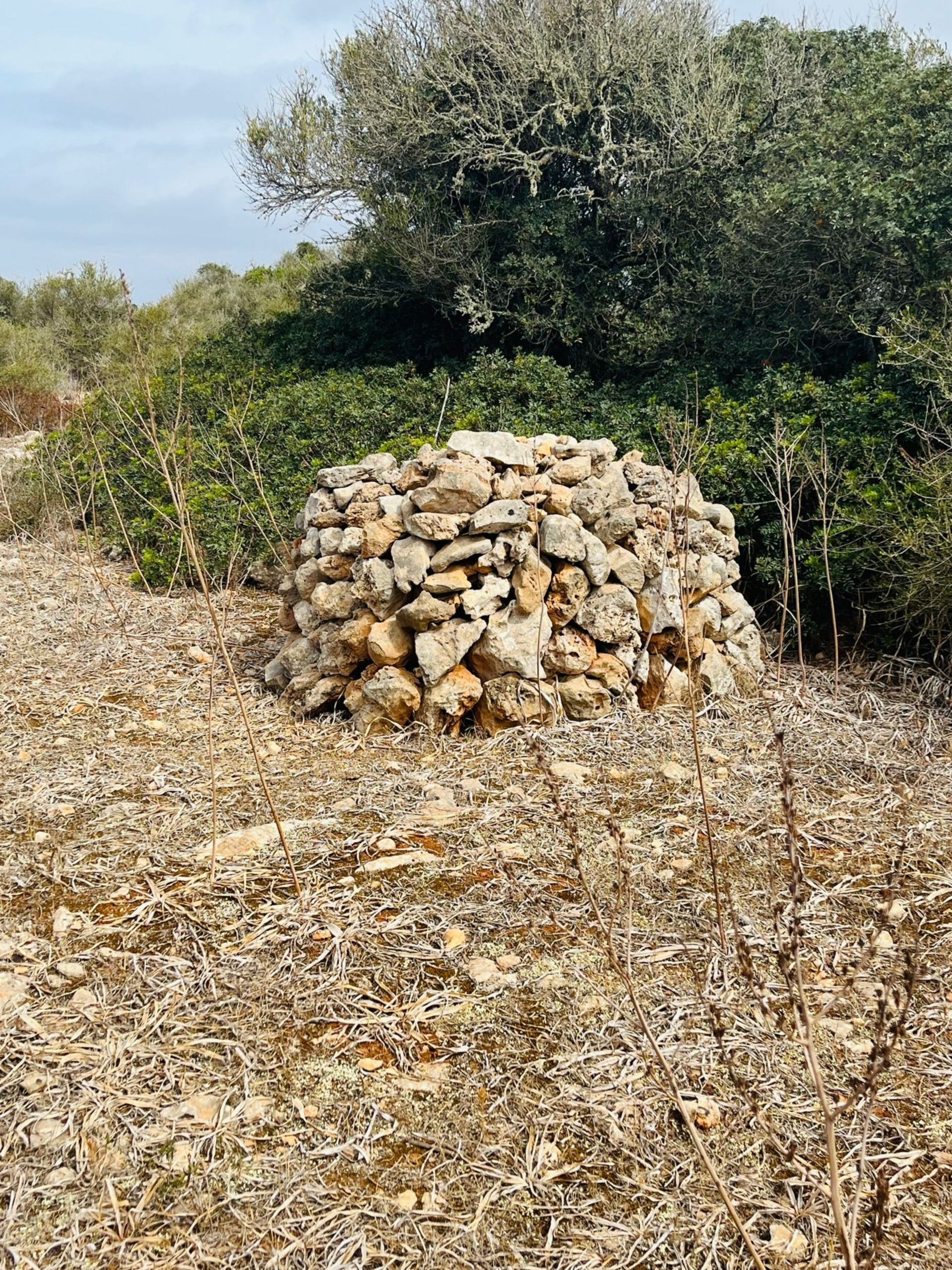 Historical Trail_12