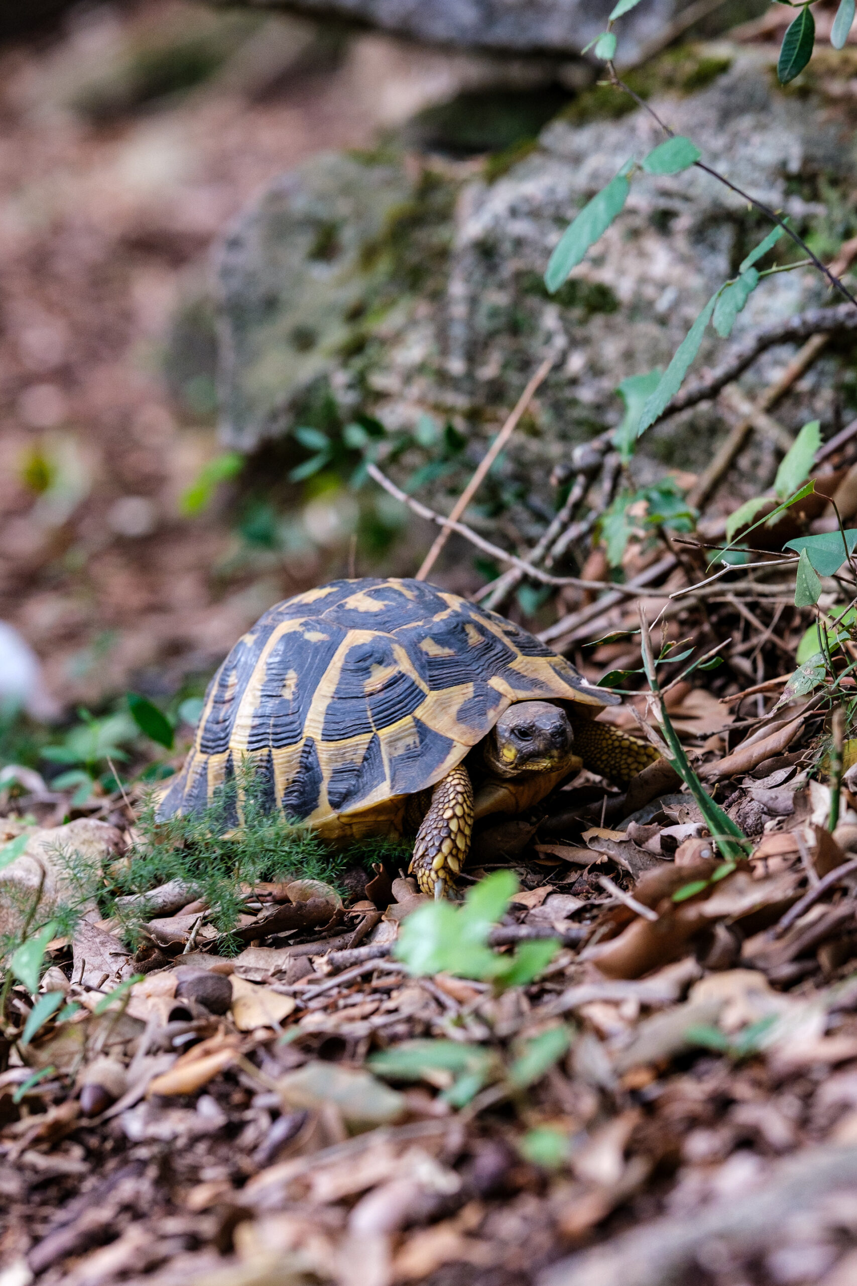 Nature Parc_16
