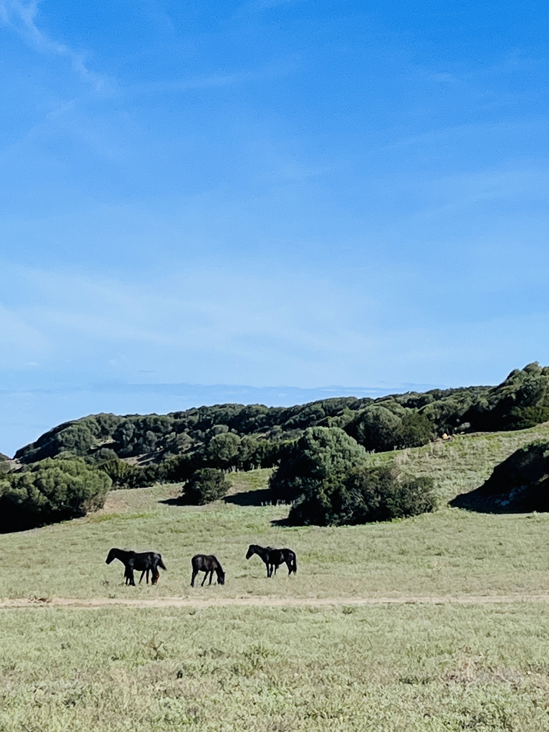 Nature Parc_9