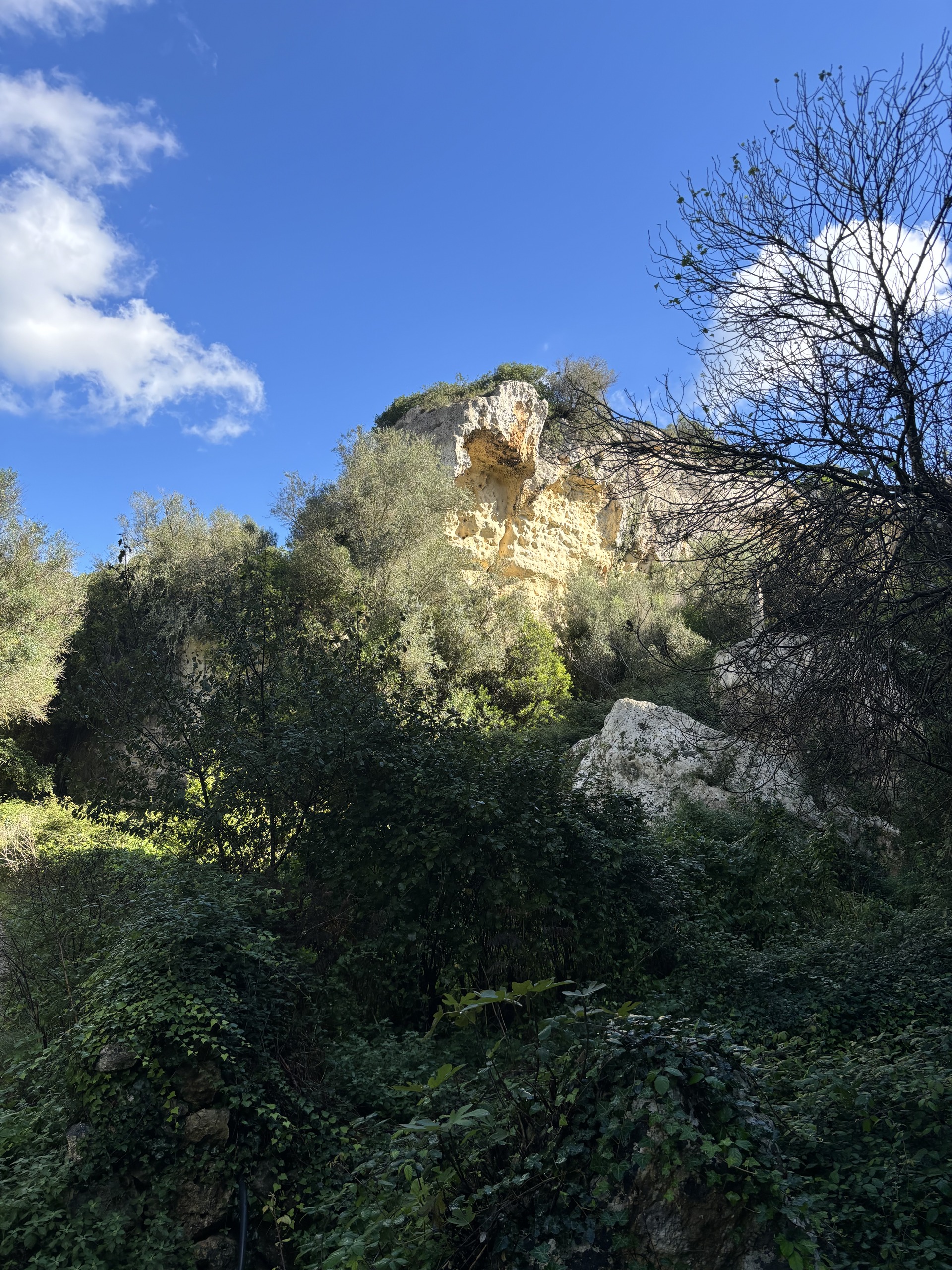 Ravin Trail _2