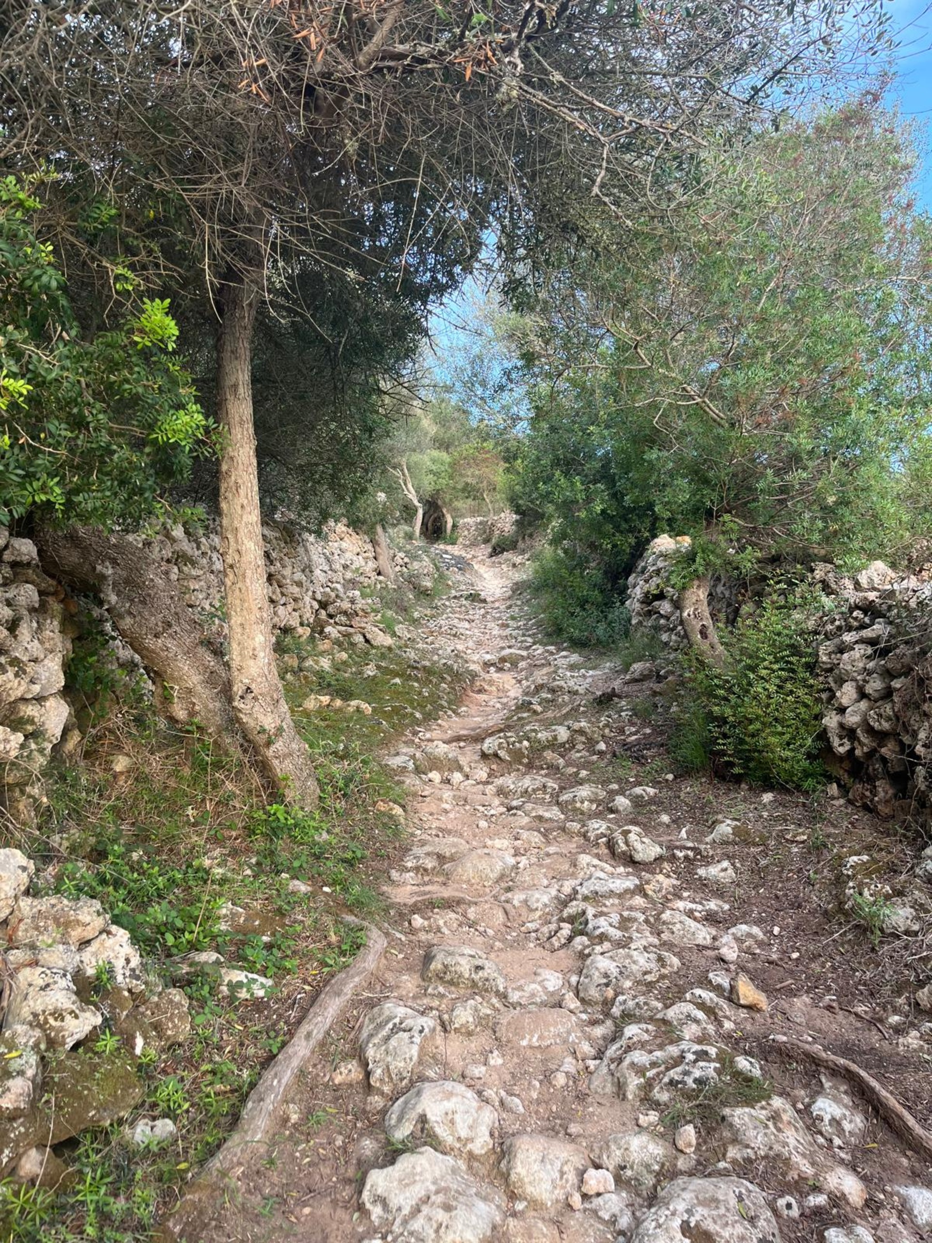 Ravin Trail _7