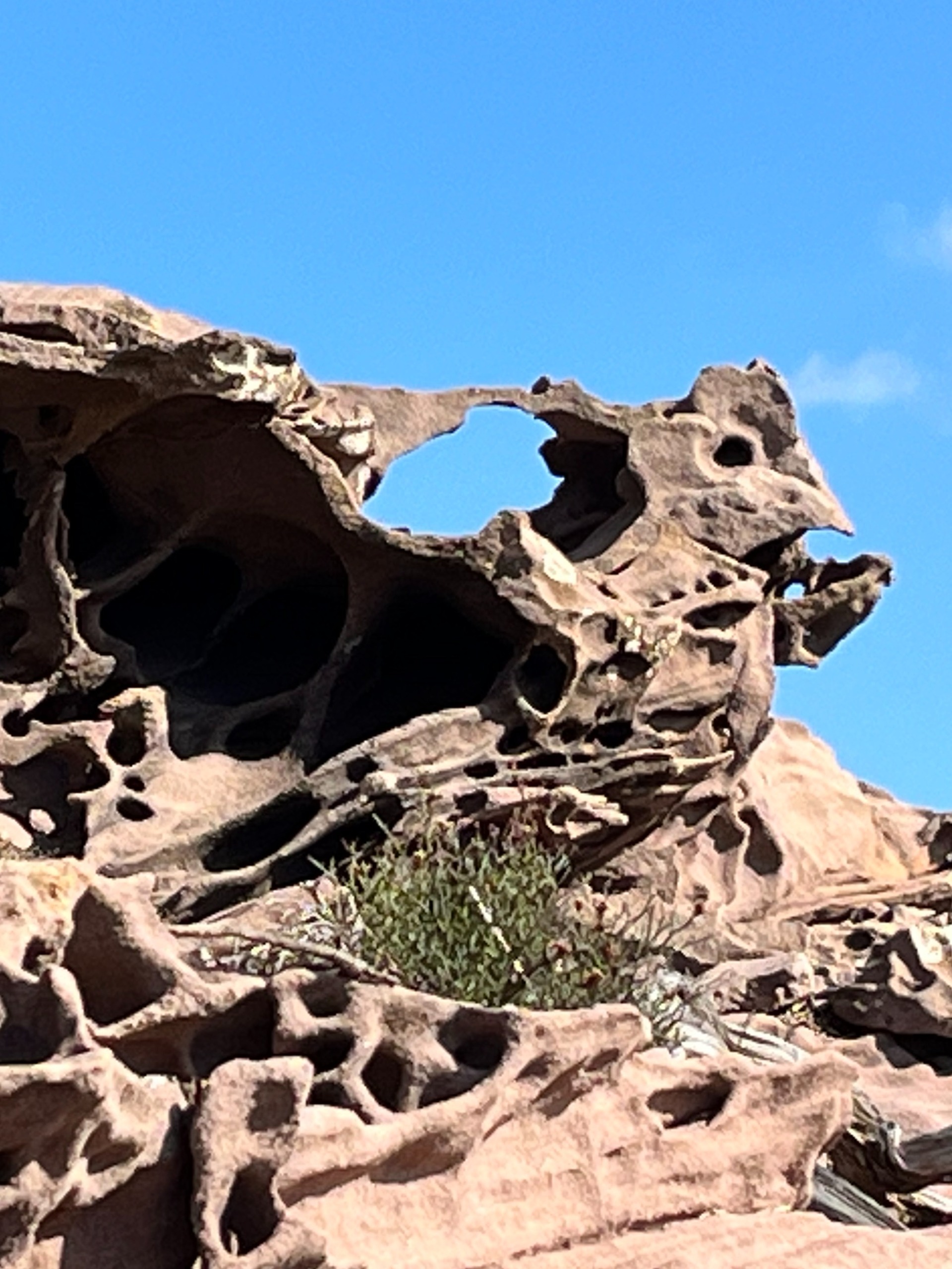 Red Rock_10