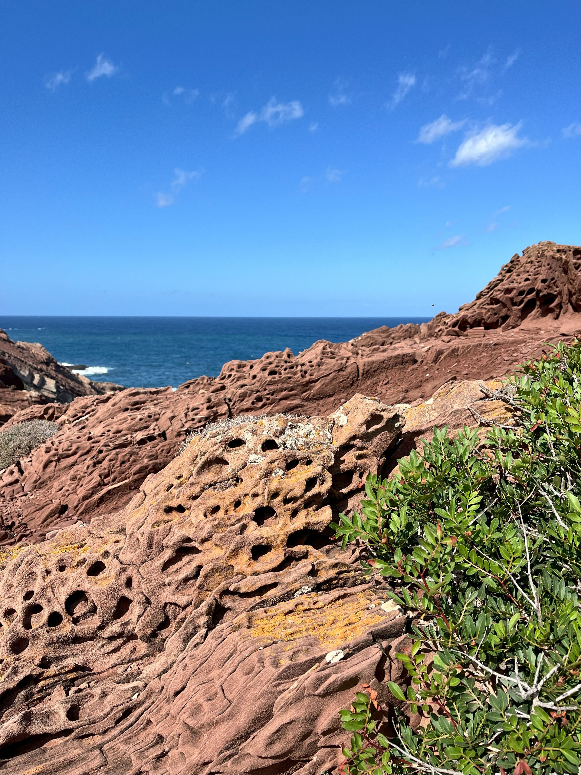 Red Rock_8